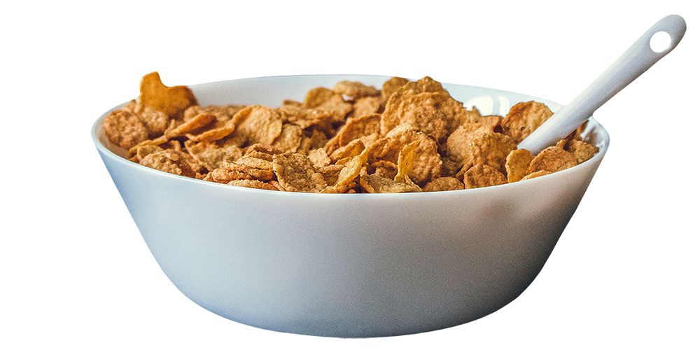 A bowl of bran flake cereal.
