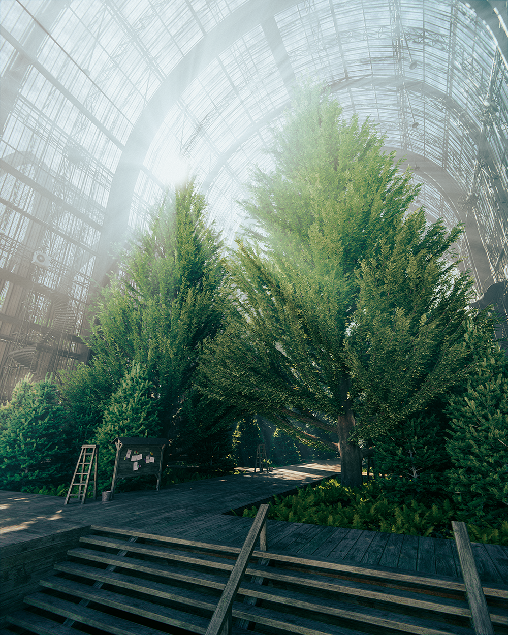 A misty Victorian-style greenhouse with massive pine trees.